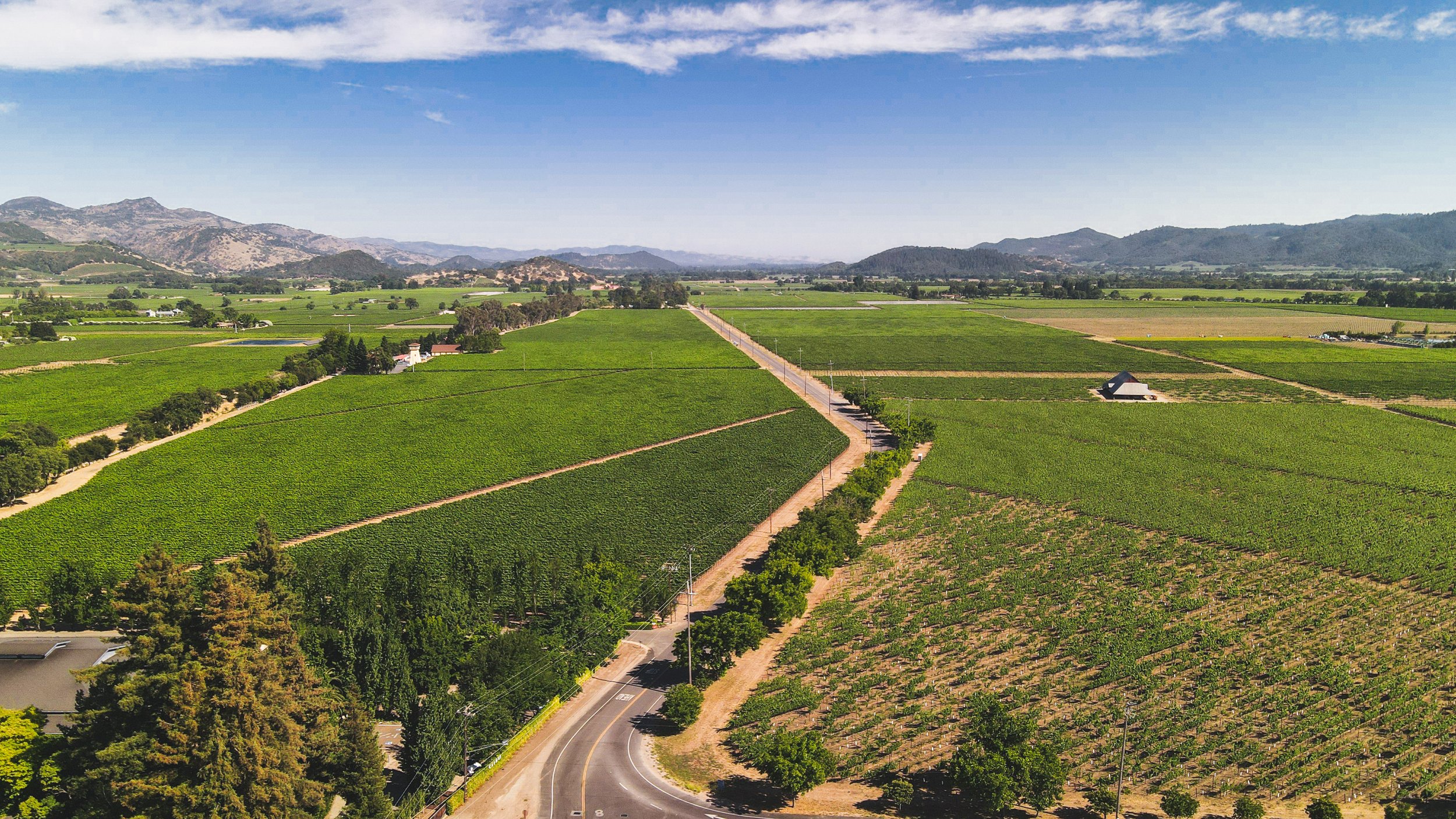Caymus Vinyards is located at 8700 Conn Creek Rd, Rutherford, CA 94573, in the heart of the Napa Valley.