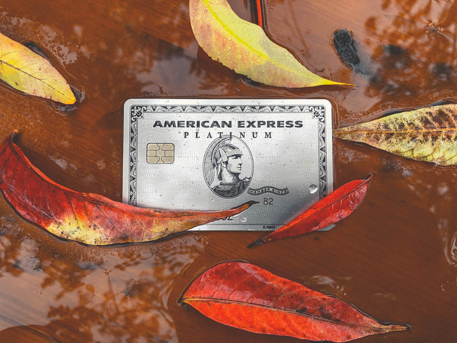 Positive and Negative Changes to American Express Cards coming January 1, 2020.